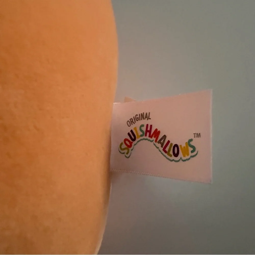 Squishmallow Alba the Orange‎ Mushroom 8